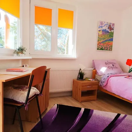 дом за гости осогово Appartement *