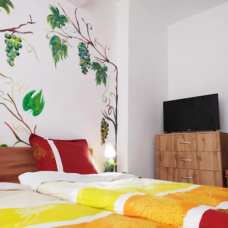 дом за гости осогово Апартаменты *