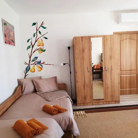 дом за гости осогово Appartement